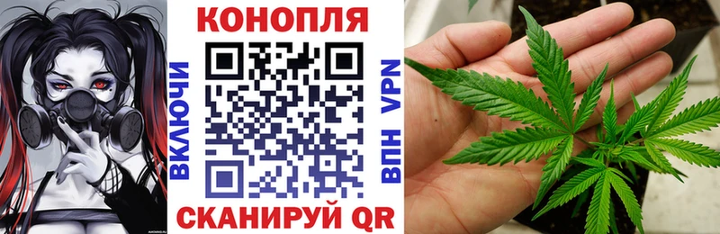 МАРИХУАНА White Widow закладка Камбарка